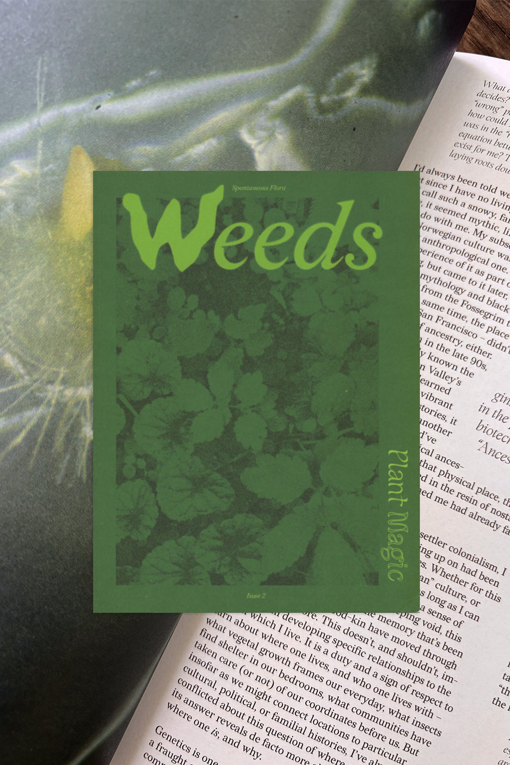 Plant Magic #2: Weeds