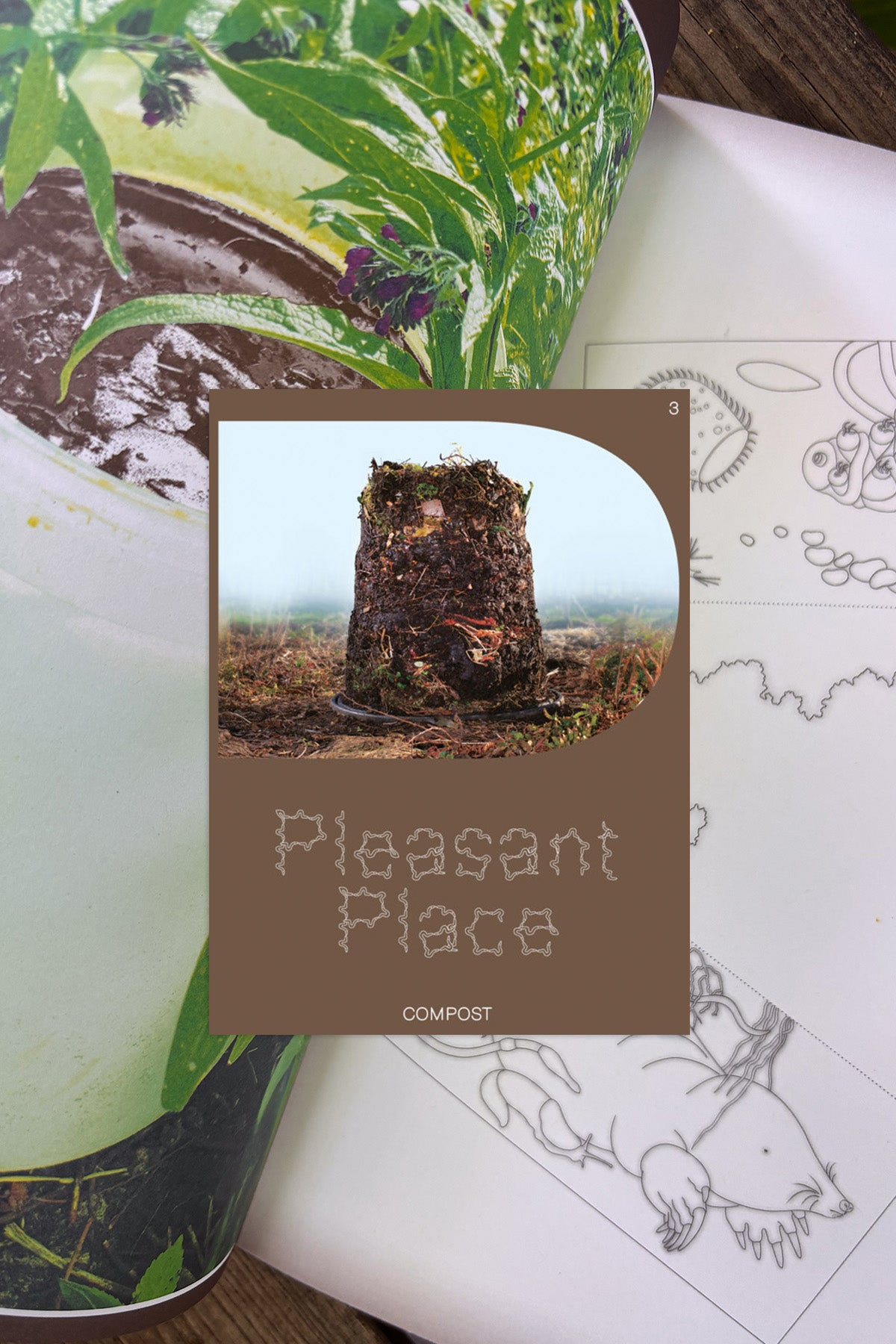 Pleasant Place #3: Compost