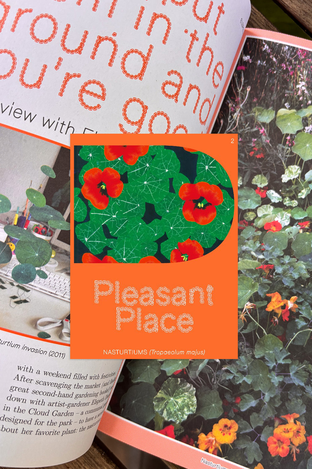Pleasant Place 2: Nasturtiums