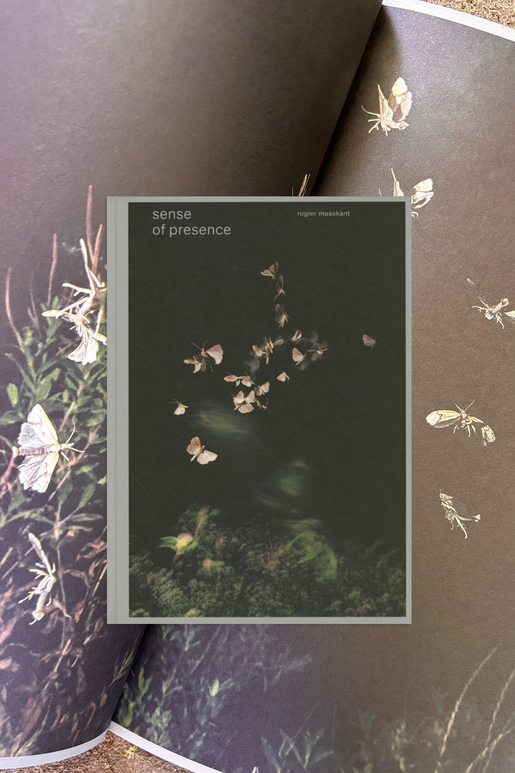 Rogier Maaskant – Sense of Presence