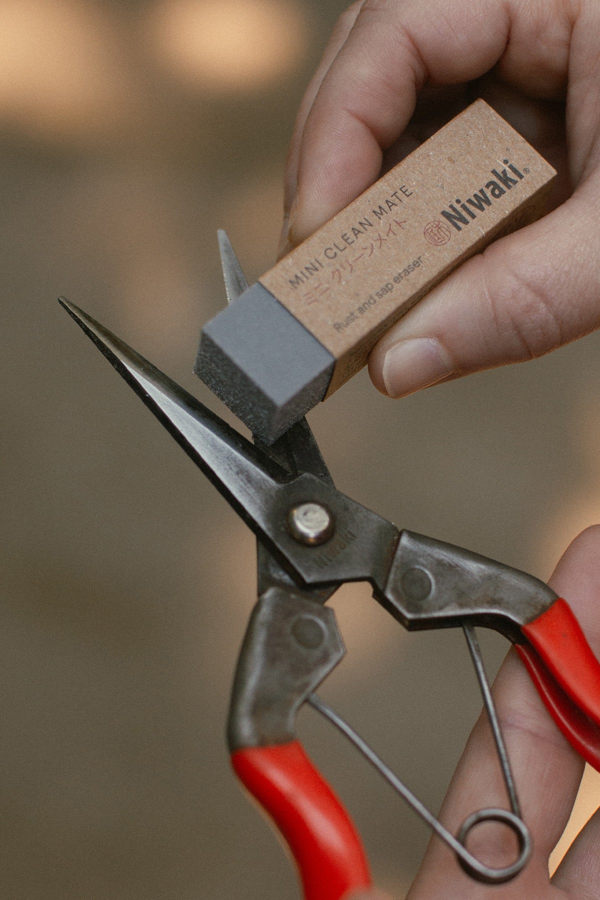 Mini Clean Mate Rust & Sap Eraser